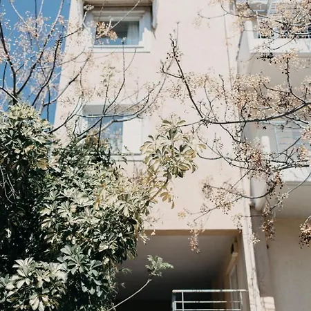 アパート House, Nirvana Ii, パトラ