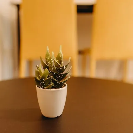 House, Nirvana Ii,