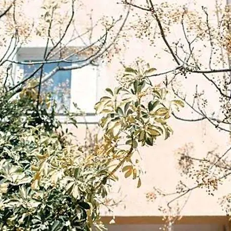 House, Nirvana Ii,