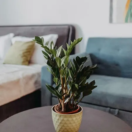 דירה House, Nirvana Ii,