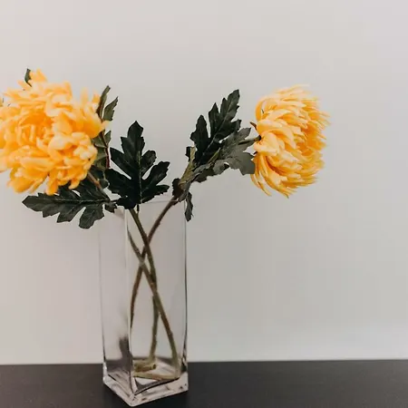 Apartment House, Nirvana Ii,