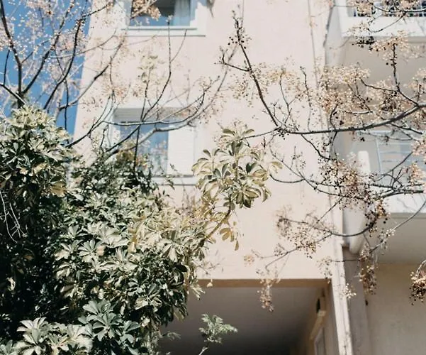 Apartman House, Nirvana Ii, Pátra