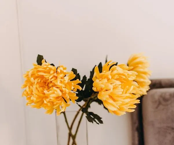 House, Nirvana Ii, * Patras