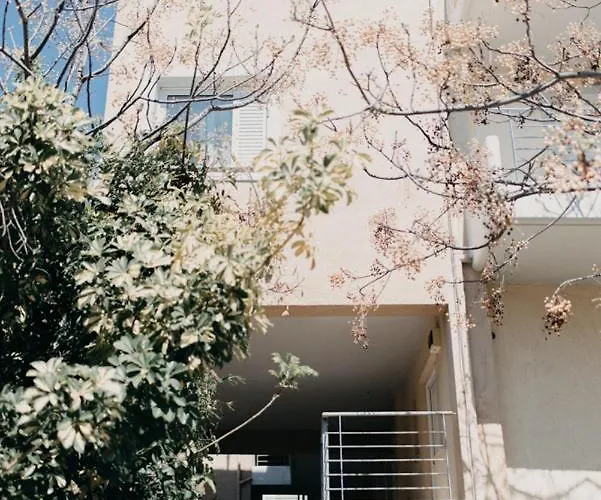 House, Nirvana Ii, Pátra