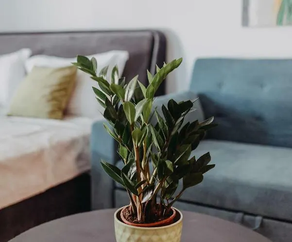 Apartman House, Nirvana Ii,