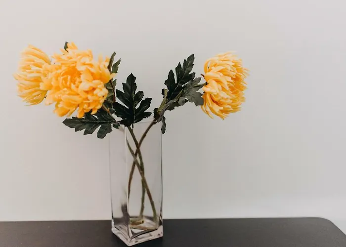 Apartament House, Nirvana Ii,